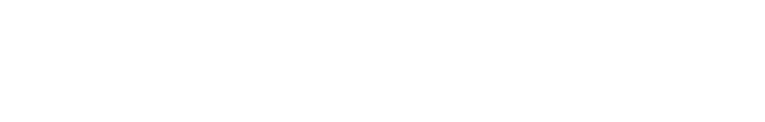 SentryGuard Logo